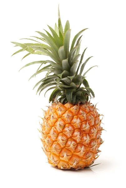 Egzotyczne ananasy — Zdjęcie stockowe