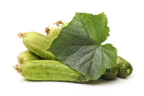 Cucumbers with leaf — Stock Photo, Image