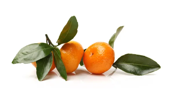Zwei Mandarinen — Stockfoto