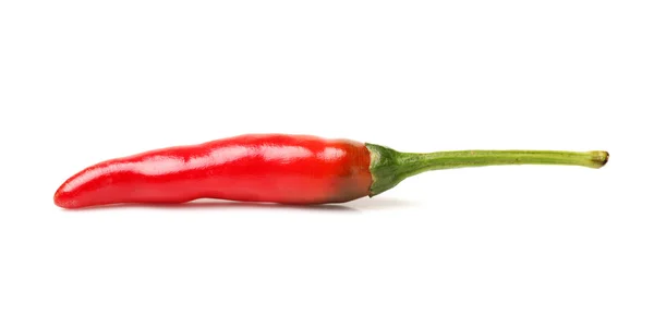 Chili peper — Stockfoto