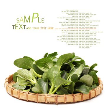 Pok Choi auf Tablett