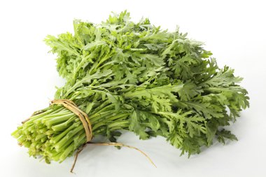 taç papatya