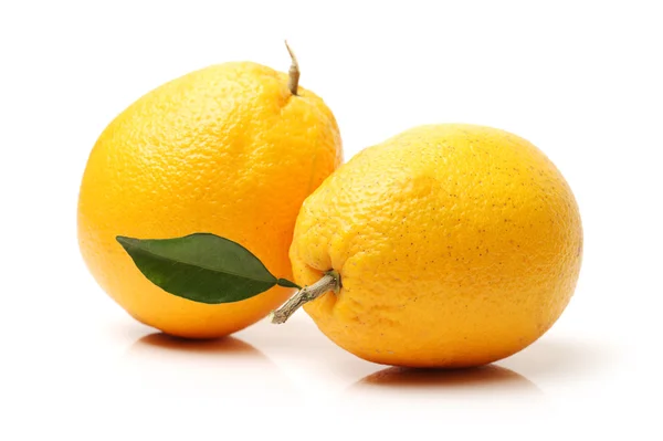 Органические апельсины — стоковое фото