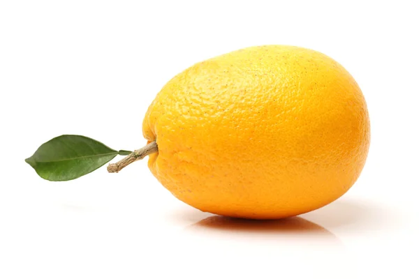 Leckere Orangenfrüchte — Stockfoto