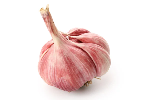 Garlic head — Stock Photo, Image