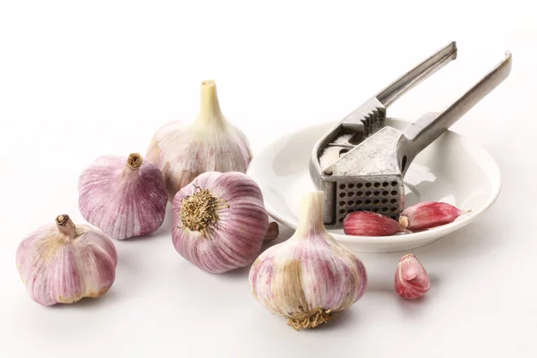 Garlic press and garlic — Stock Photo, Image