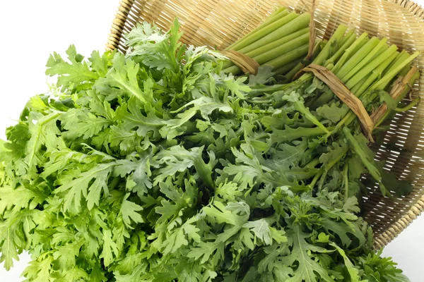 Gänseblümchen auf Tablett — Stockfoto