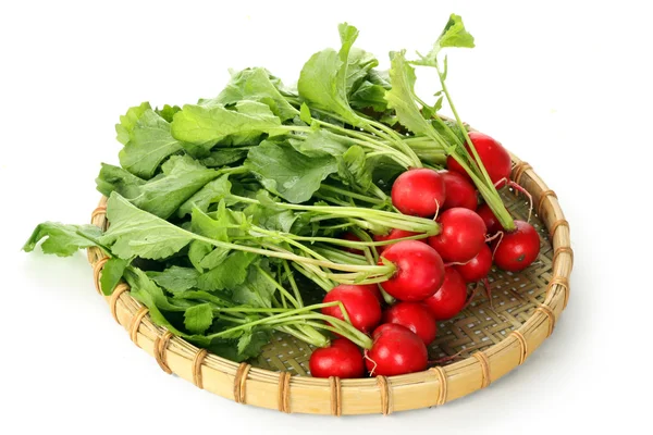 Radishes for salad — Stock Photo, Image