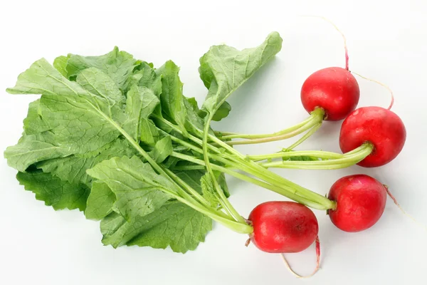 Group of radishes — Stock Photo, Image