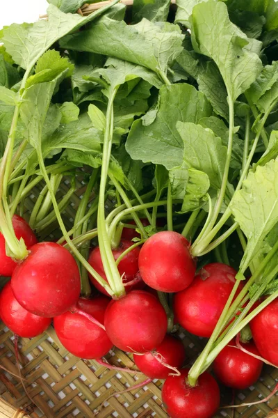 Tasty radishes — Stock Photo, Image