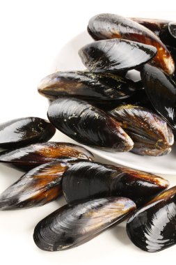 Midye plaka üzerinde