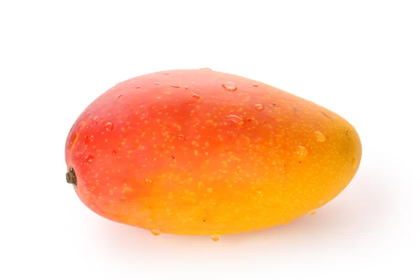 Mango exótico —  Fotos de Stock