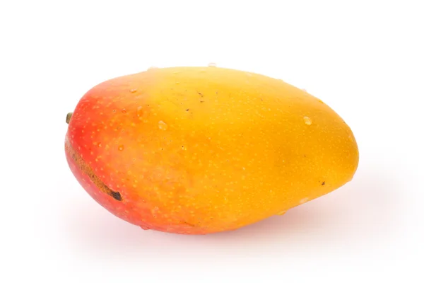 Soczyste mango — Zdjęcie stockowe