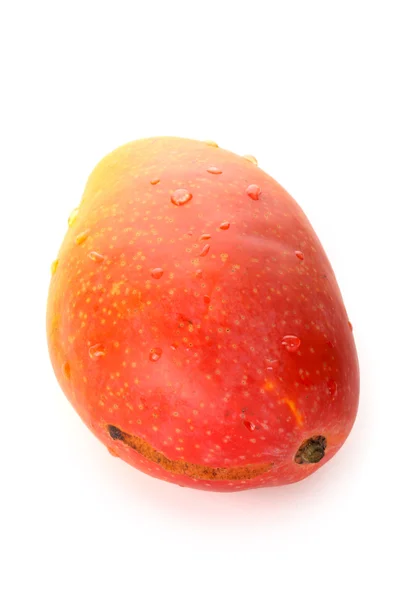 Juicy mango — Stock Photo, Image