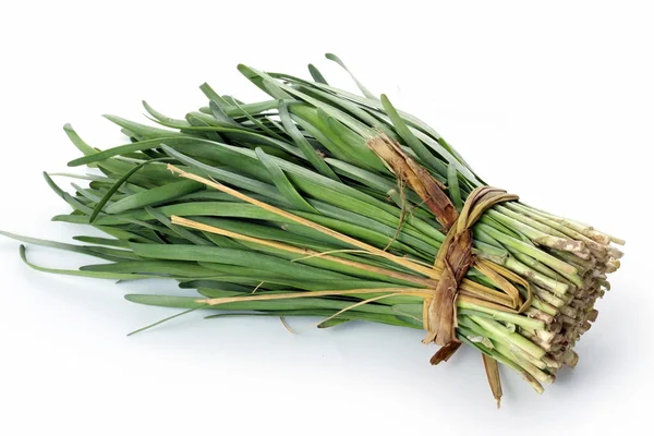 Leek tied by rope — Stock Photo, Image