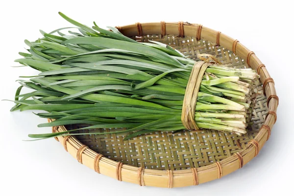 Wooden dish of leek — Stock Photo, Image