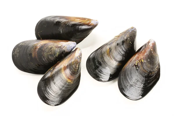 Mussels handful — Stock Photo, Image