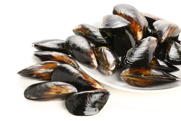 Mussels on plate — Stock Photo, Image
