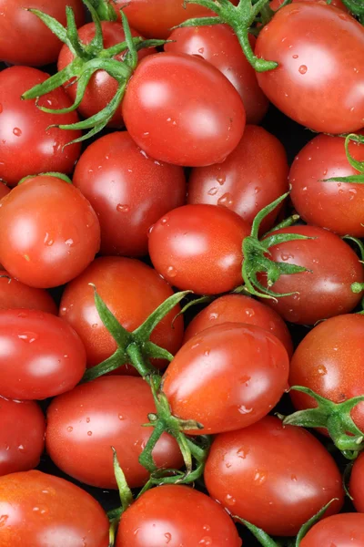 Tomates cherry —  Fotos de Stock