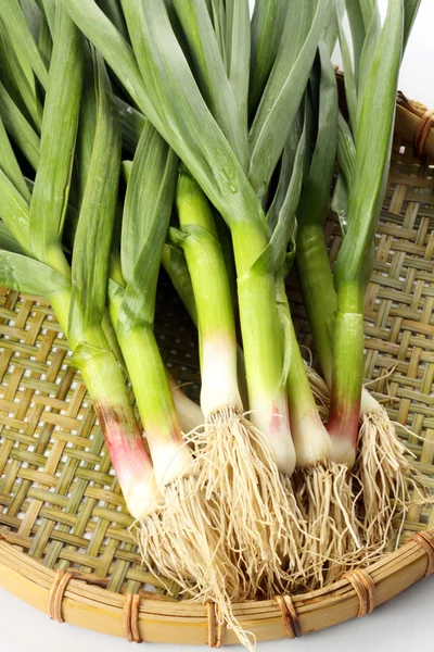 Garlic leaves — Stock Photo, Image