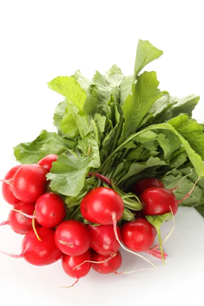 Rábanos para ensalada — Foto de Stock