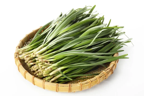 Leek in tray — Stock Photo, Image