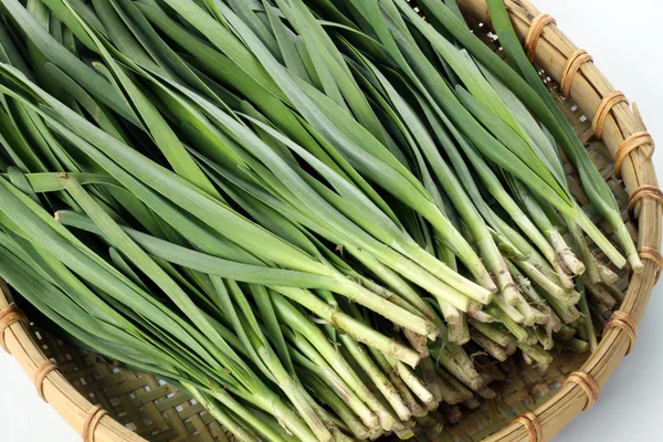 Green leek — Stock Photo, Image