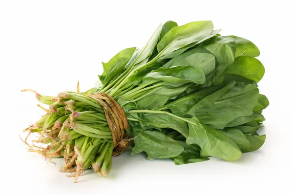 Spinach bunch — Stock Photo, Image