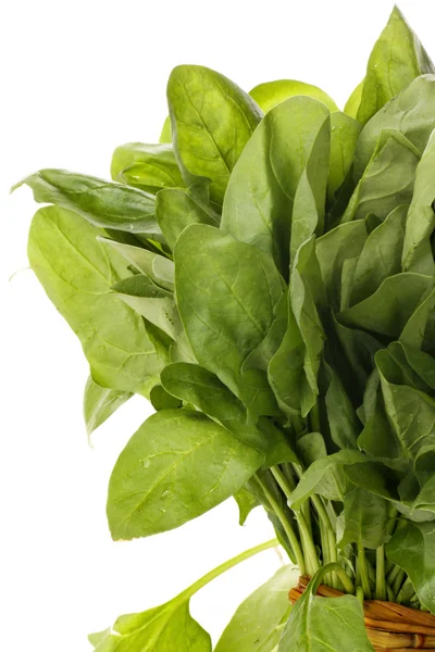 Spinach bunch — Stock Photo, Image