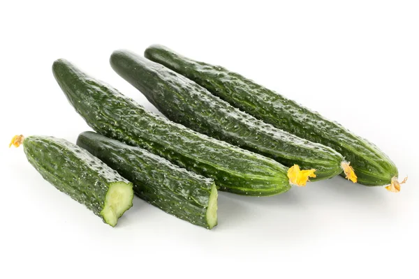 Green cucumbers — Stock Photo, Image