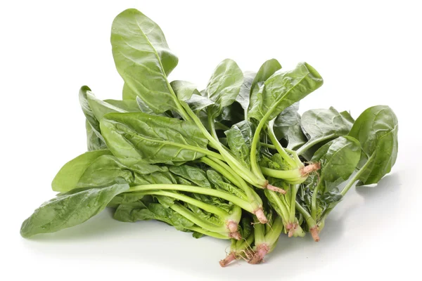 Healthy spinach — Stock Photo, Image