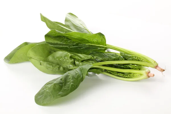 Green spinach bunch — Stock Photo, Image