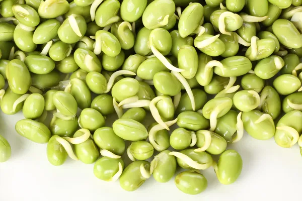 Lima beans — Stock Photo, Image