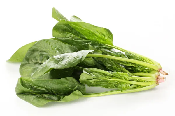 Fresh spinach bunch — Stock Photo, Image
