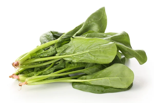 Green spinach bunch — Stock Photo, Image