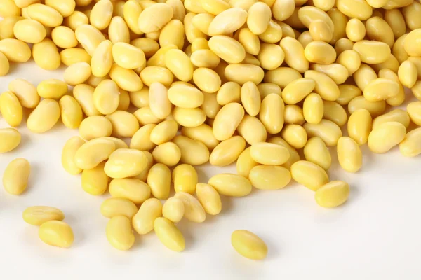 黄金の大豆 — ストック写真