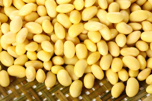 Golden soybeans — Stock Photo, Image