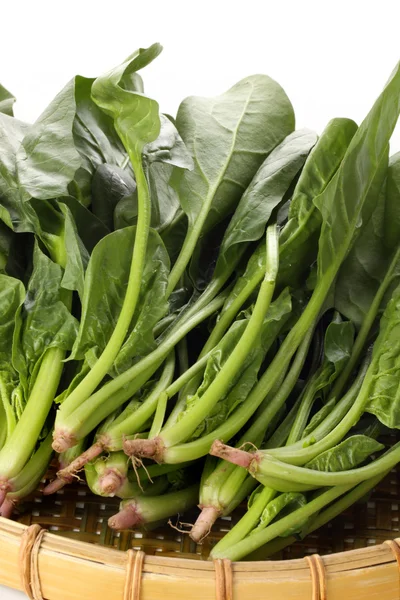 Fresh spinach bunch — Stock Photo, Image