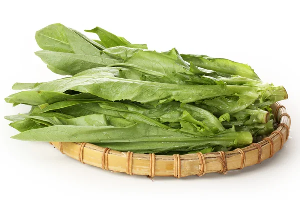 Lechuga Romaine — Foto de Stock