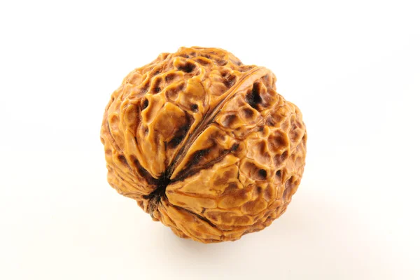 Whole walnut — Stock Photo, Image