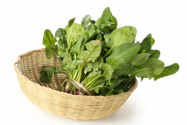 Spinach bunch — Stock Photo, Image