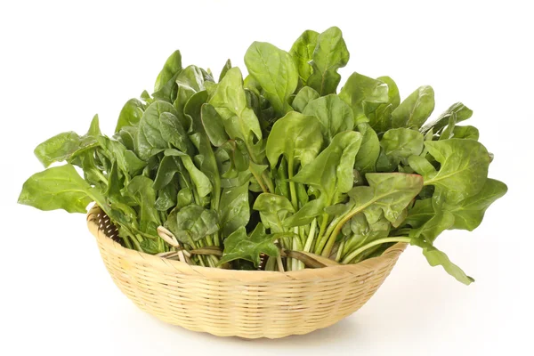 Spinach in bowl — Stock Photo, Image