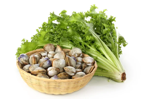 Kokkels met groene salade — Stockfoto