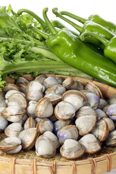 Raw cockles in basket — Stock Photo, Image