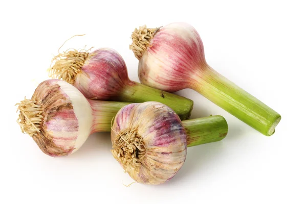 Garlic bulbs — Stock Photo, Image