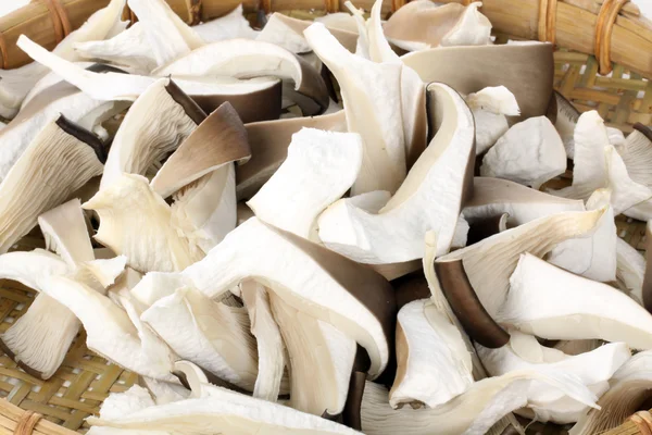 Chopping mushrooms — Stock Photo, Image