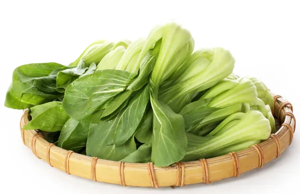 Pok choi klasarポク崔房します。 — Stockfoto