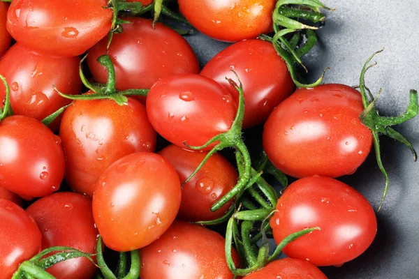 Malá rajčata — Stock fotografie