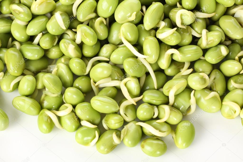 Lima beans