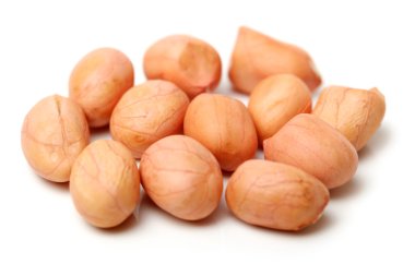 yerfıstığı çekirdekleri